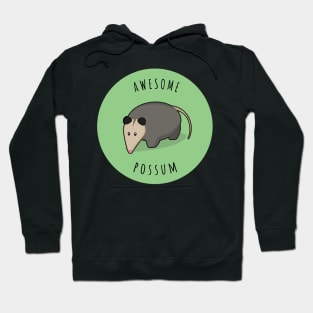 Awesome Possum Hoodie